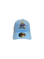 Berries Adult NE 920 Curved Brim Blueberry Hat