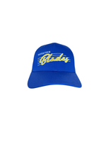 Blades Adult BD Curved Brim Retro Stripe Hat