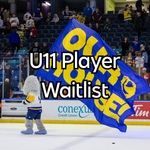 WAITLIST: Blades - Hockey School U11 Player