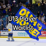 WAITLIST: Blades - Hockey School U13 Player