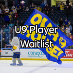 WAITLIST: Blades - Hockey School U9 Player