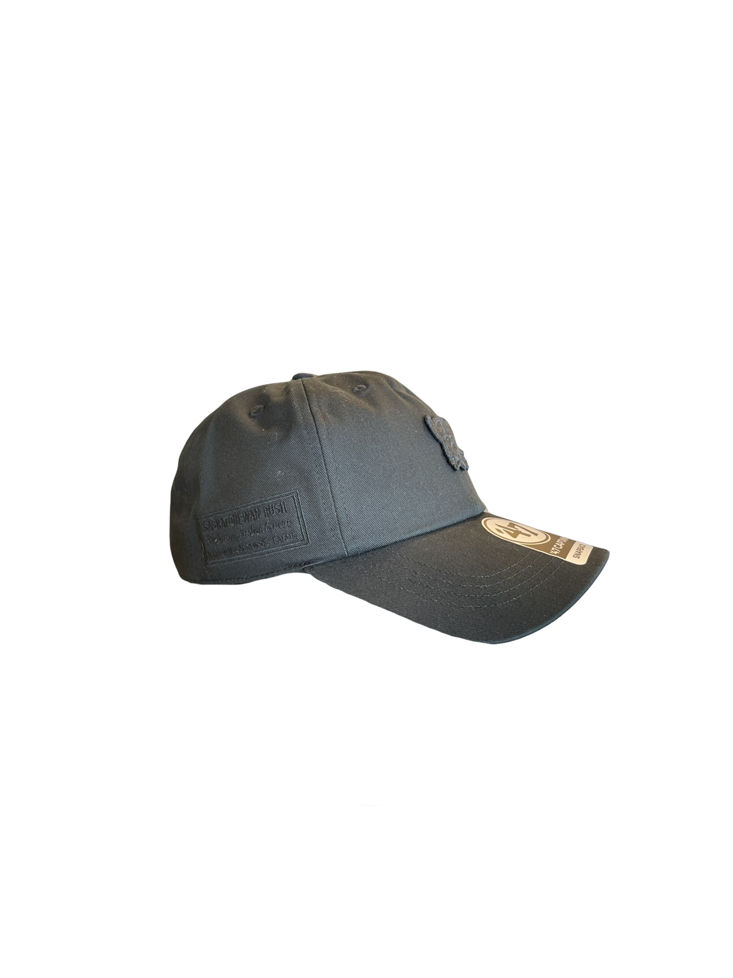 Rush Adult '47 Clean-Up Curved Brim Blackout Bison Hat