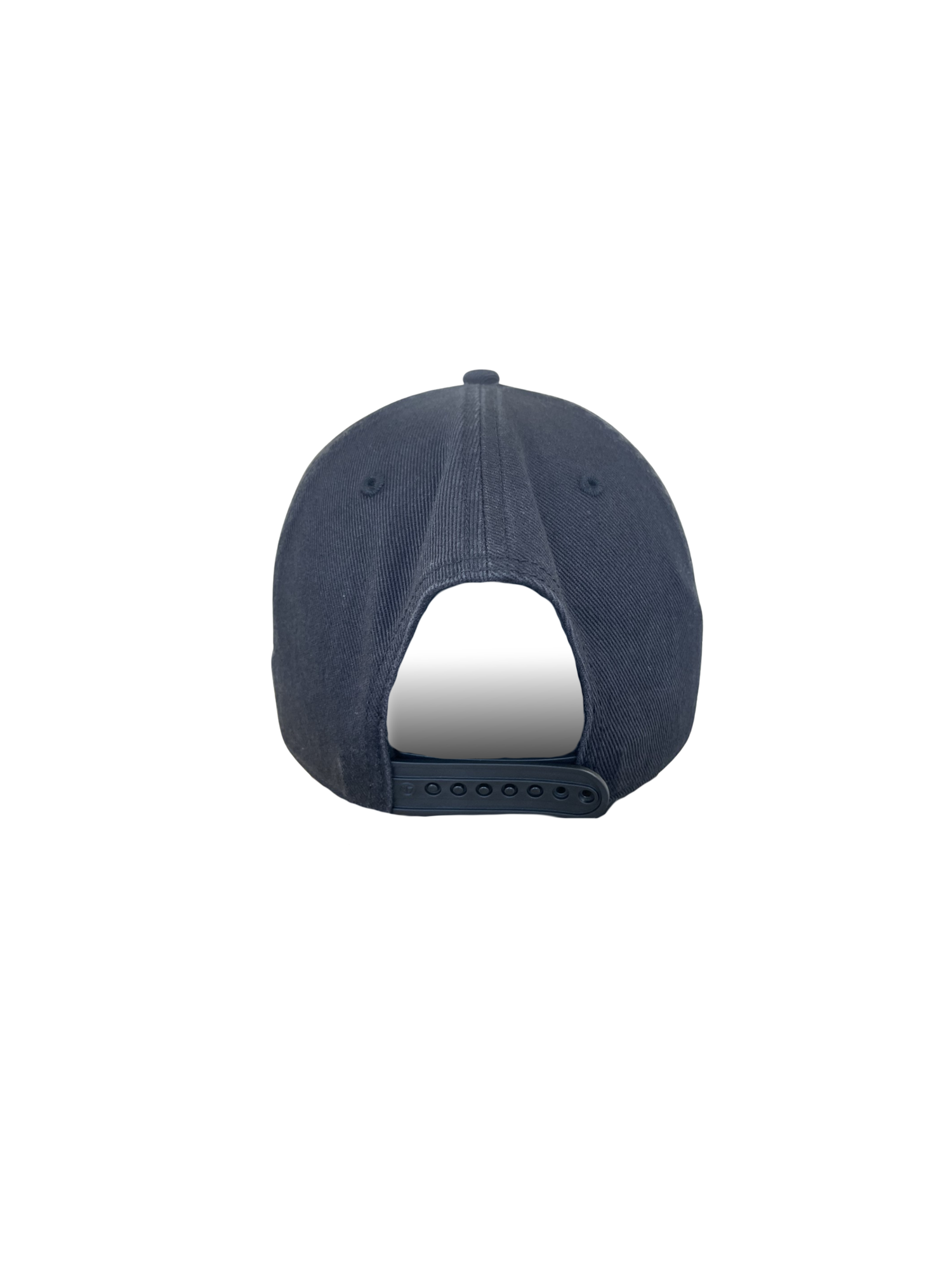 Berries Adult '47 Home Run Curved Brim Hat