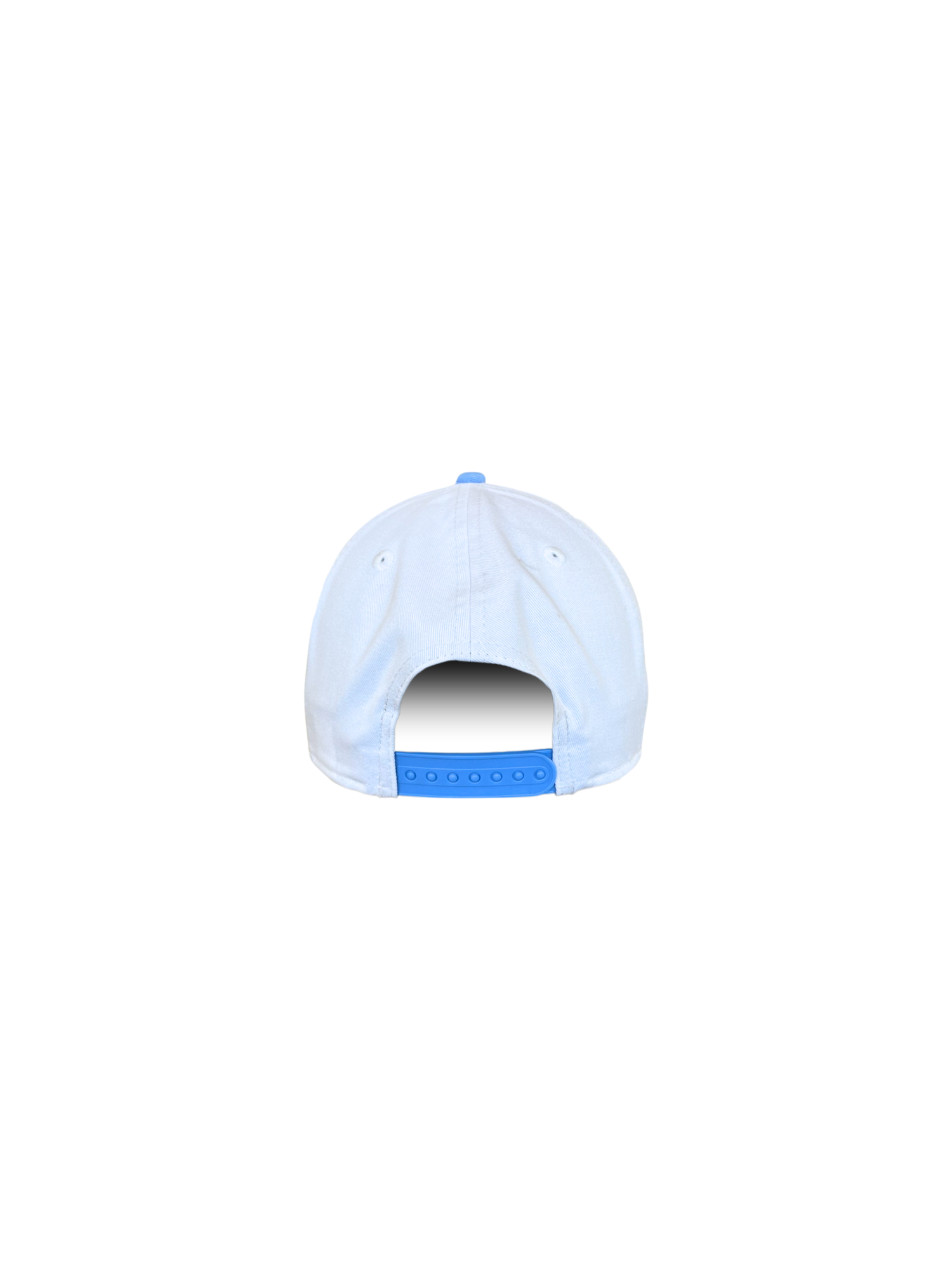 Berries Adult NE 1920 Curved Brim Blueberry Patch Hat