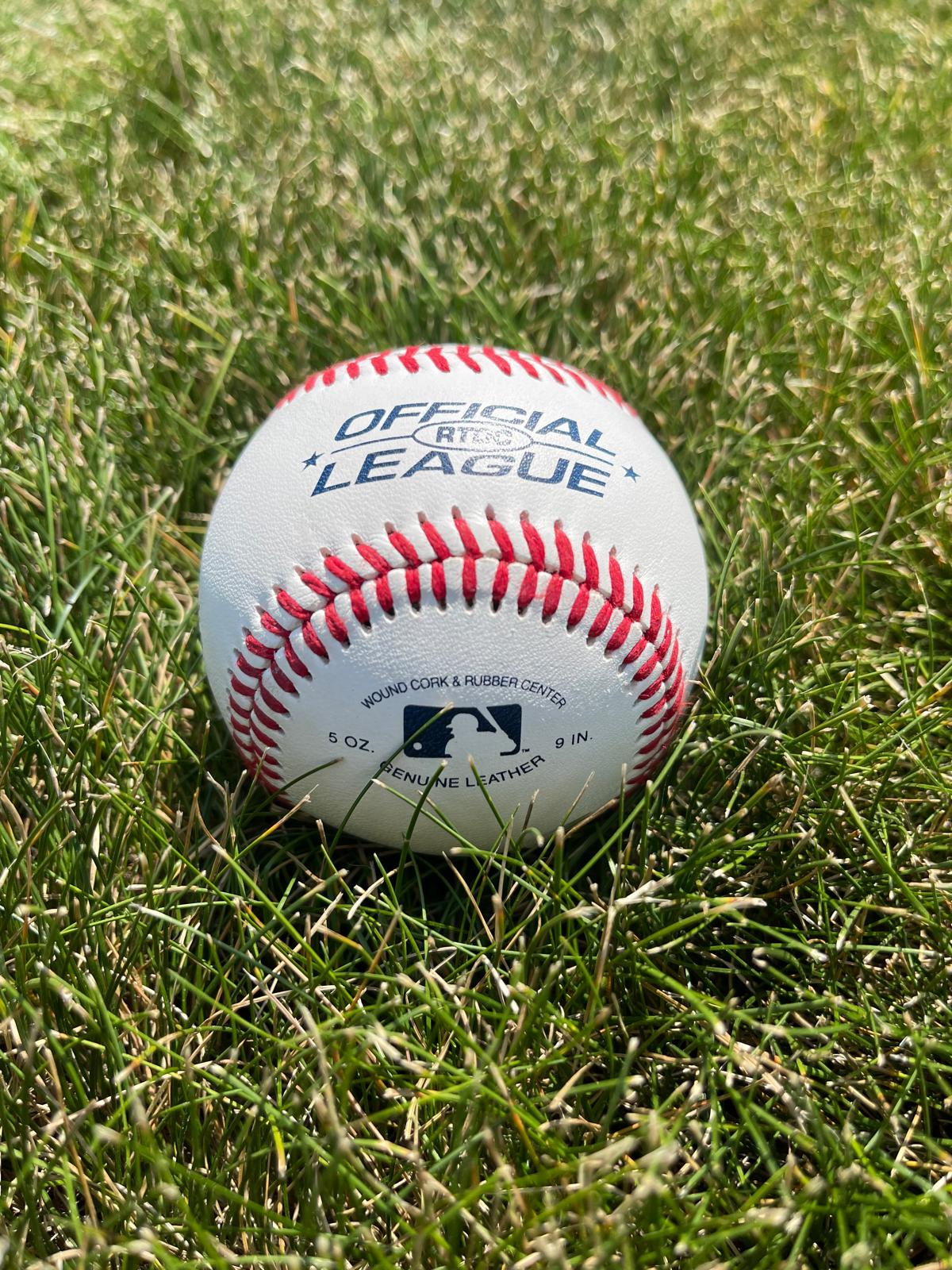 Berries 500 Club Baseball
