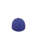 Berries Adult NE 3930 Curved Brim Core Very Berry Hat Back