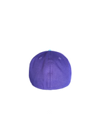 Berries Adult NE 5950 Flat Brim Mixed Berry Two Tone Hat Back