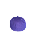 Berries Adult NE 5950 Flat Brim Very Berry Hat Back