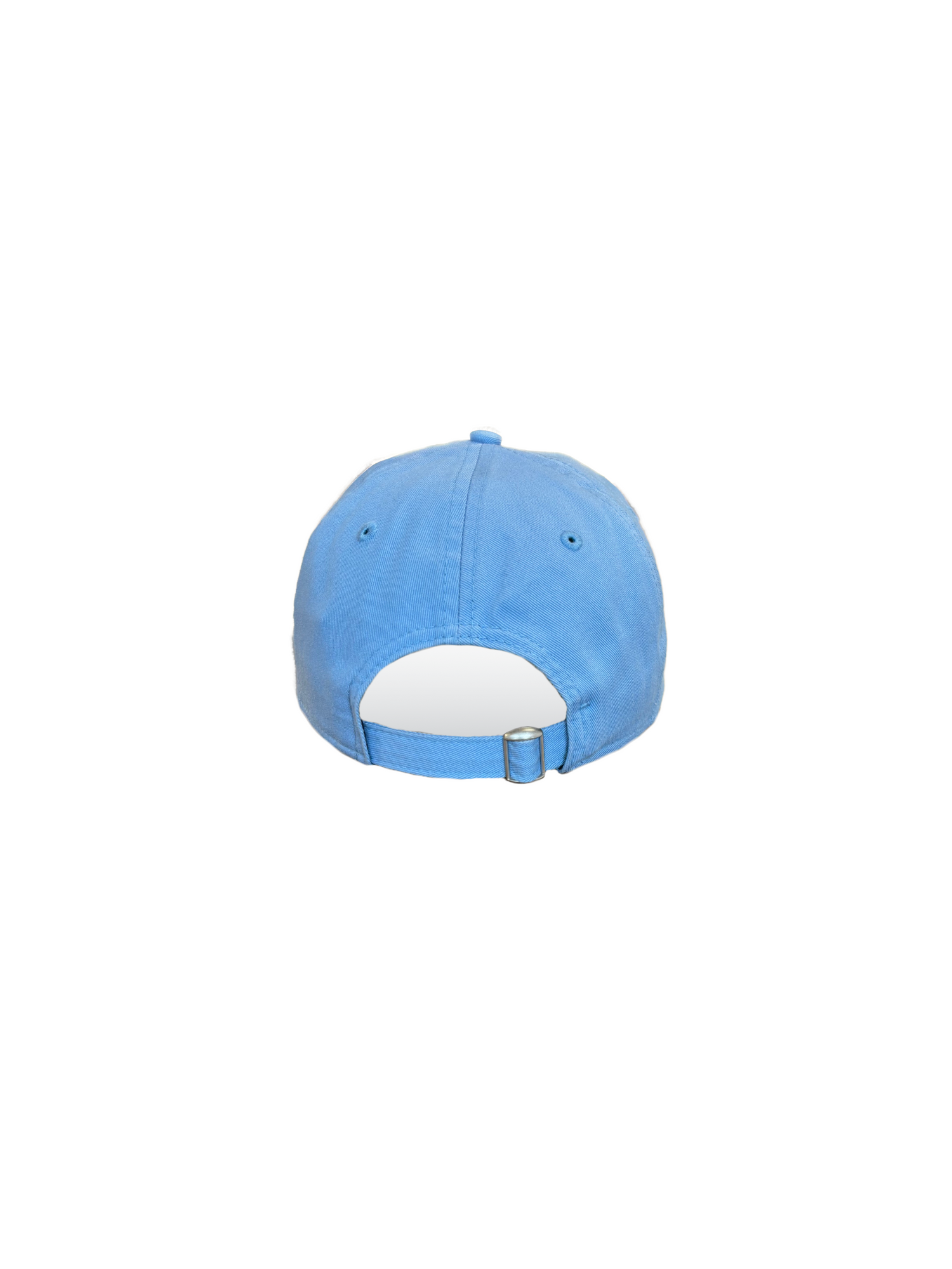 Berries Adult NE 920 Curved Brim Blueberry Hat Back