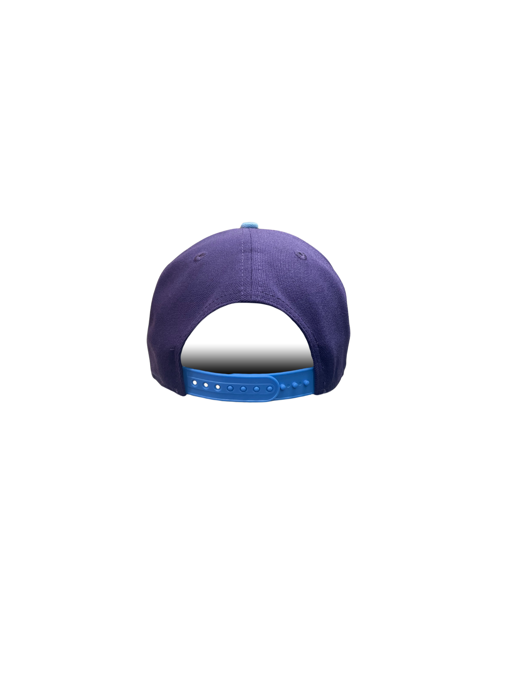 Berries Adult NE 940 Curved Brim Baseball Night in Canada Hat Back