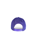 Berries Adult NE 940 Curved Brim Berry Blend Script Hat Back