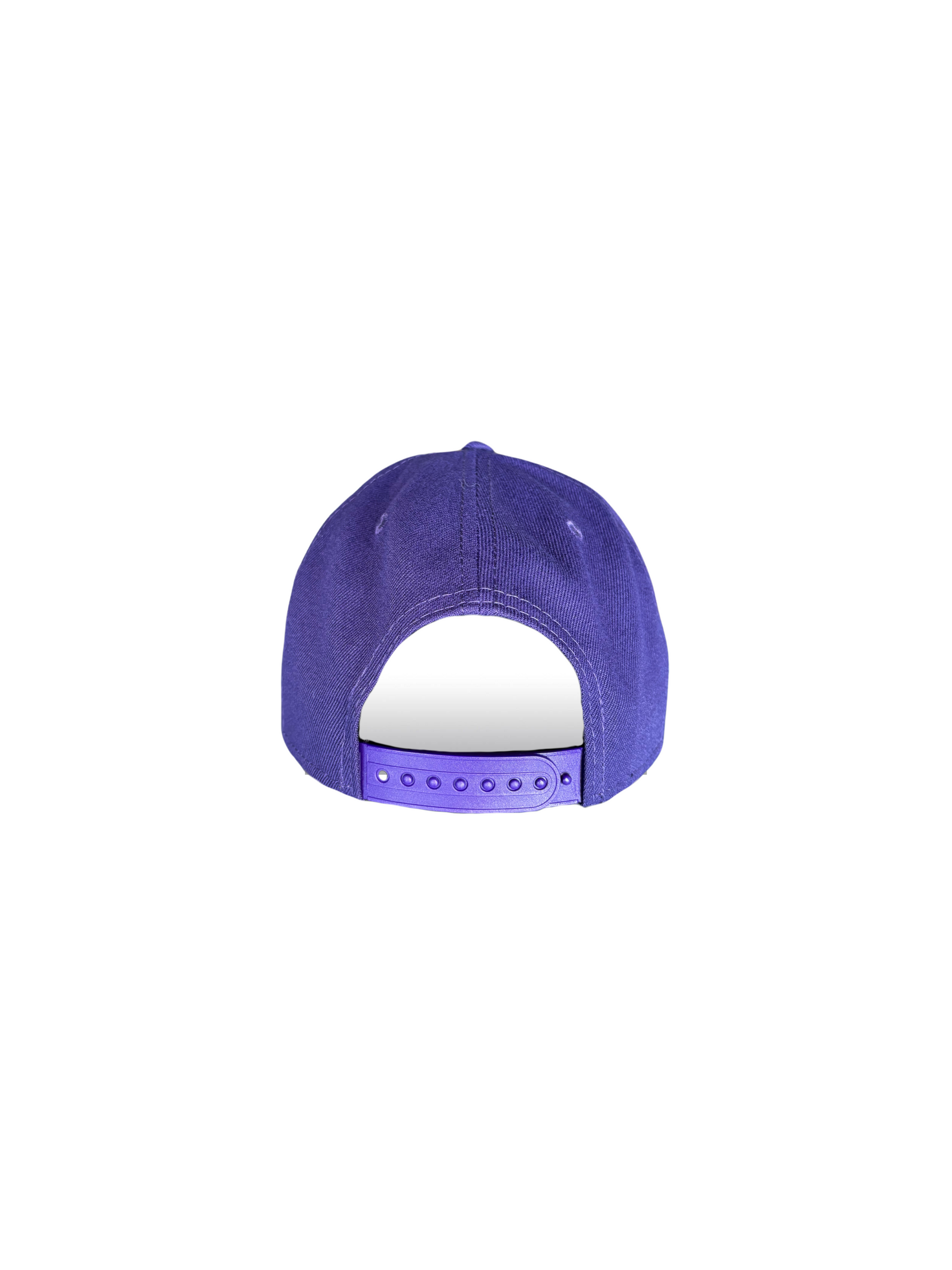 Berries Adult NE 940 Curved Brim Berry Blend Script Hat Back