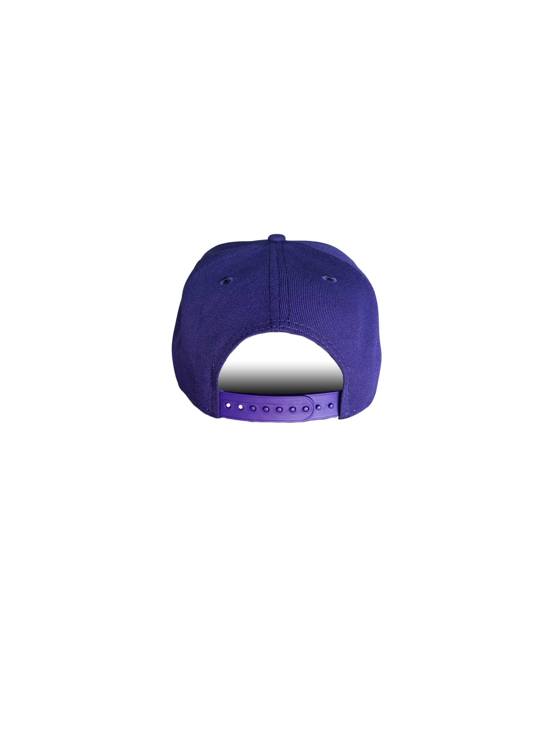 Berries Adult NE 940 Curved Brim Berry Jam Hat Back