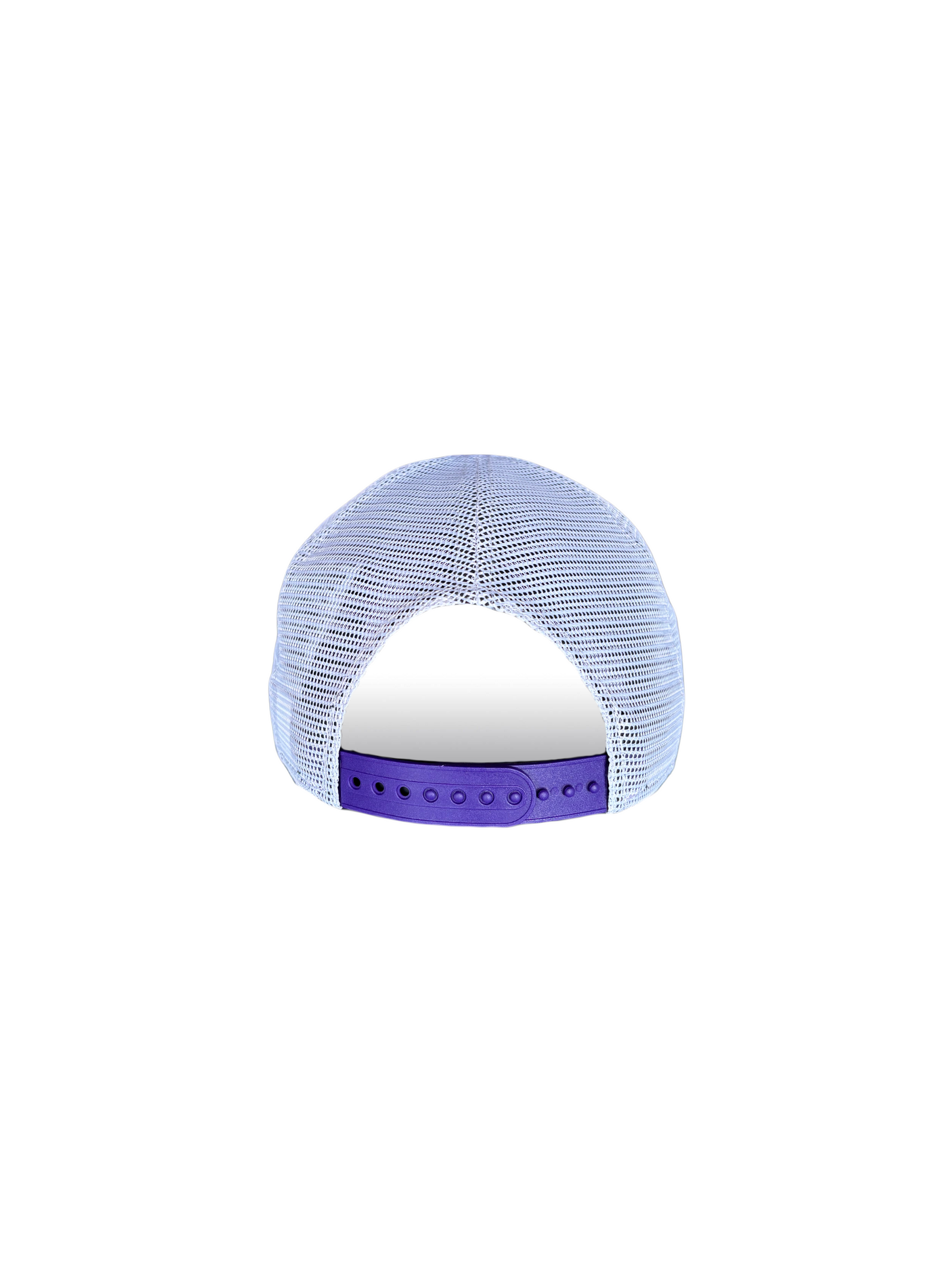 Berries Adult NE 940 Curved Brim Berry Script Rope Two Tone Hat Back