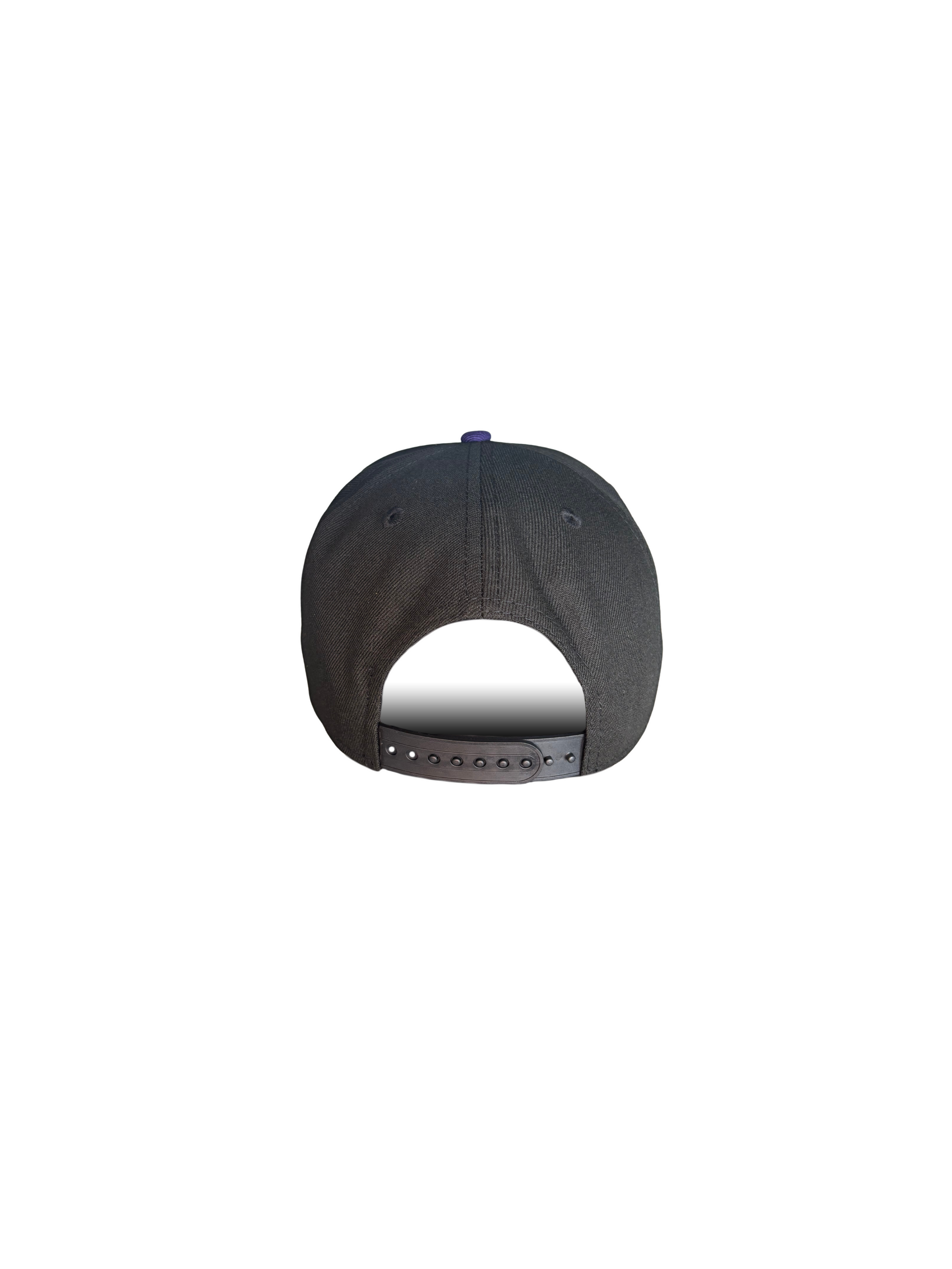 Berries Adult NE 940 Curved Brim Blackberries Hat Back