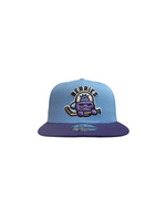 Berries Adult NE 950 Flat Brim Baseball Night in Canada Hat
