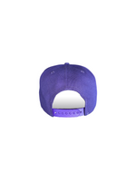 Berries Adult NE 950 Flat Brim Berry Blend Hat Back