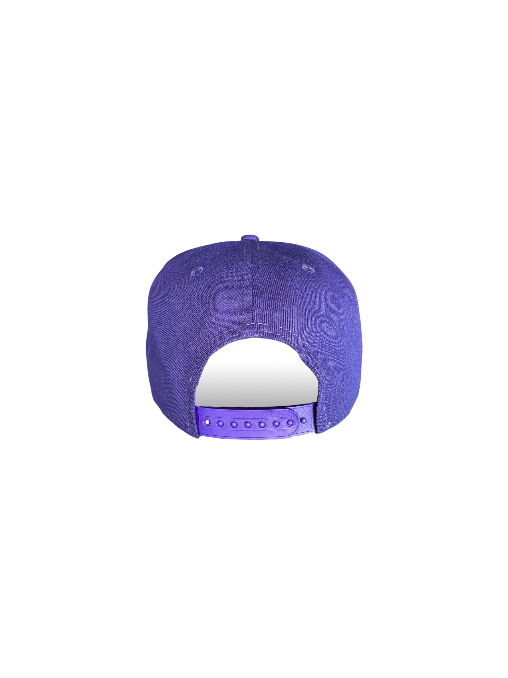 Berries Adult NE 950 Flat Brim Berry Blend Hat Back