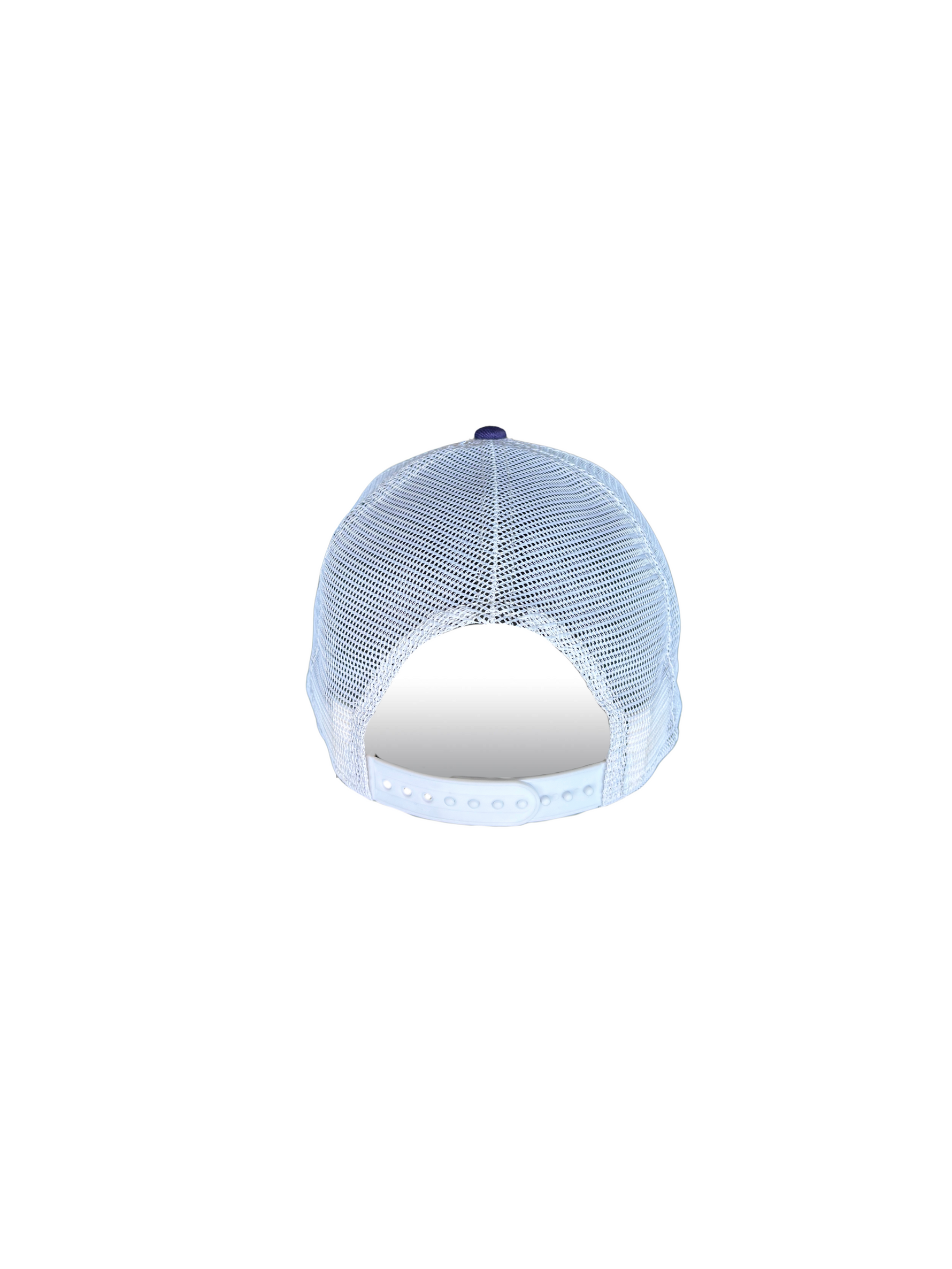 Berries Adult NE 950 Flat Brim Blue Berry Script Mesh Hat Back