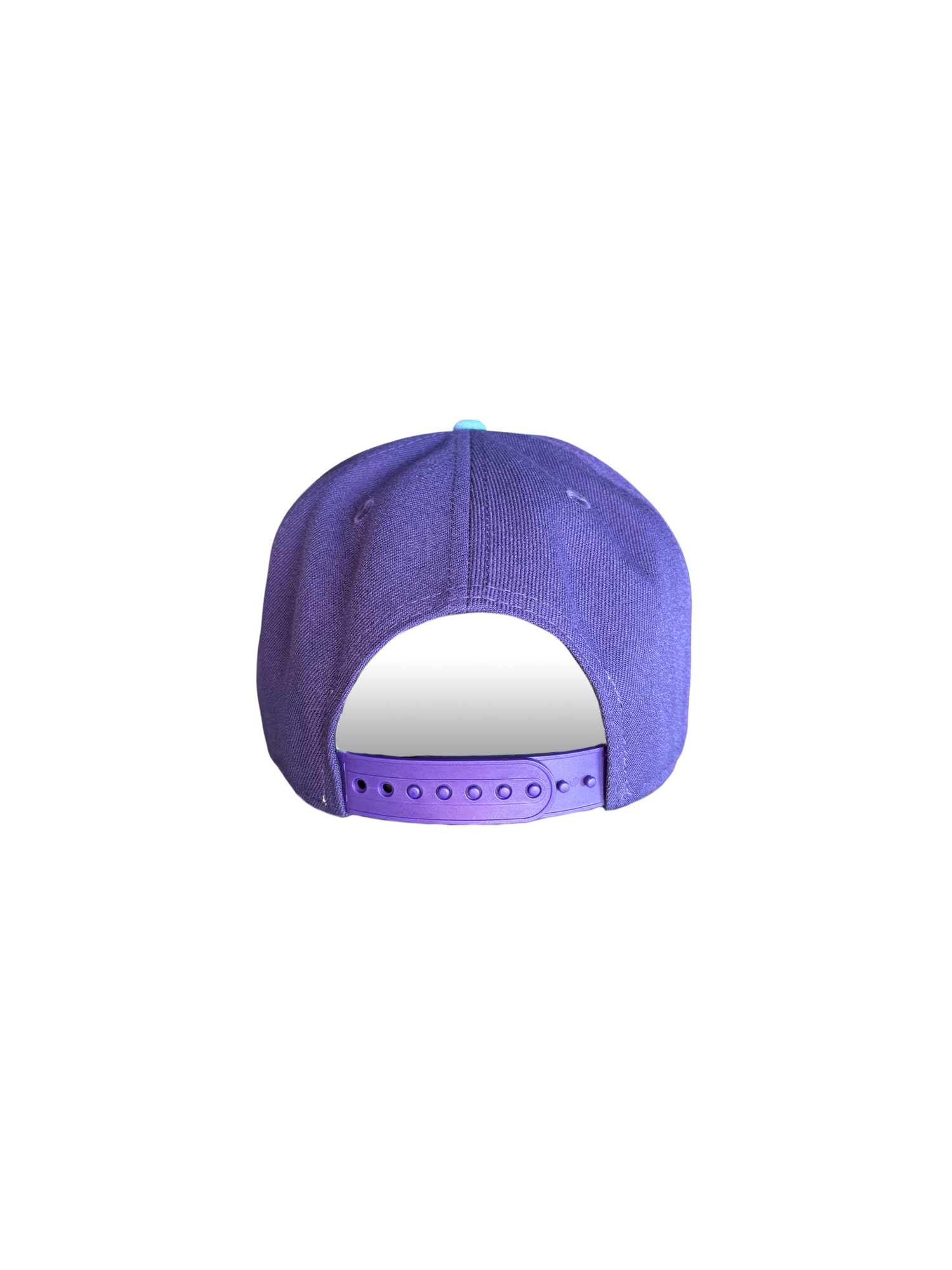 Berries Adult NE 950 Flat Brim Mixed Berry Hat Back