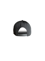 Berries Adult NE 970 Curved Brim Blackout Hat Back