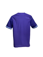Berries Adult UA Authentic Jersey Purple Back
