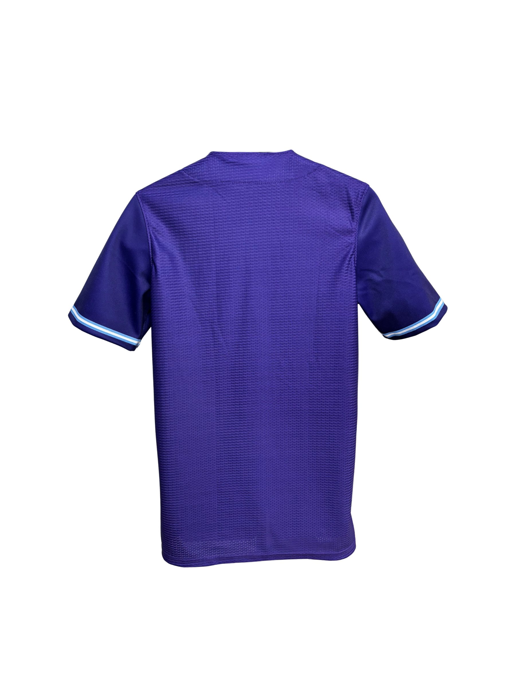 Berries Adult UA Authentic Jersey Purple Back