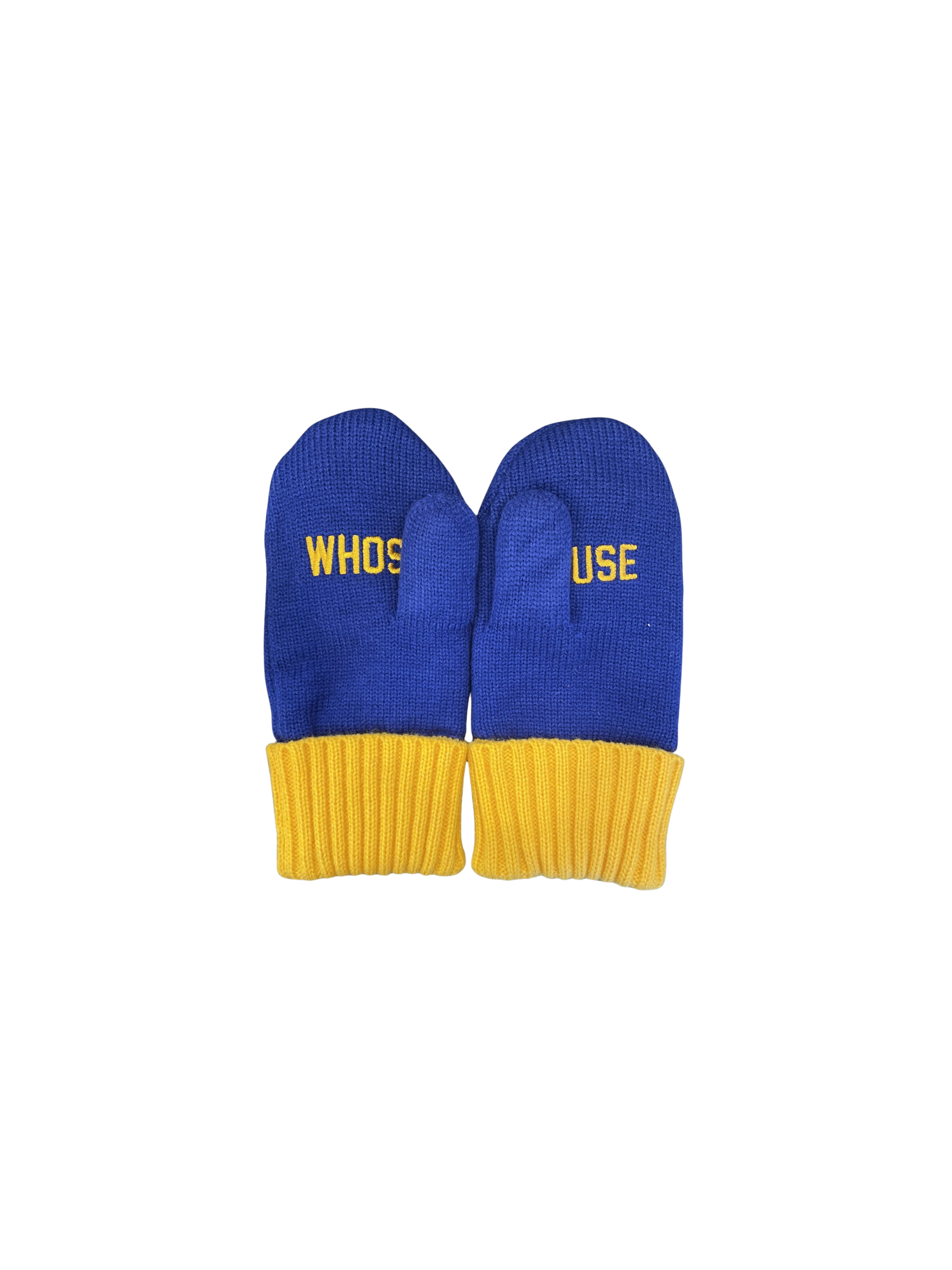 Blades Adult BD Whose House Mittens Palm
