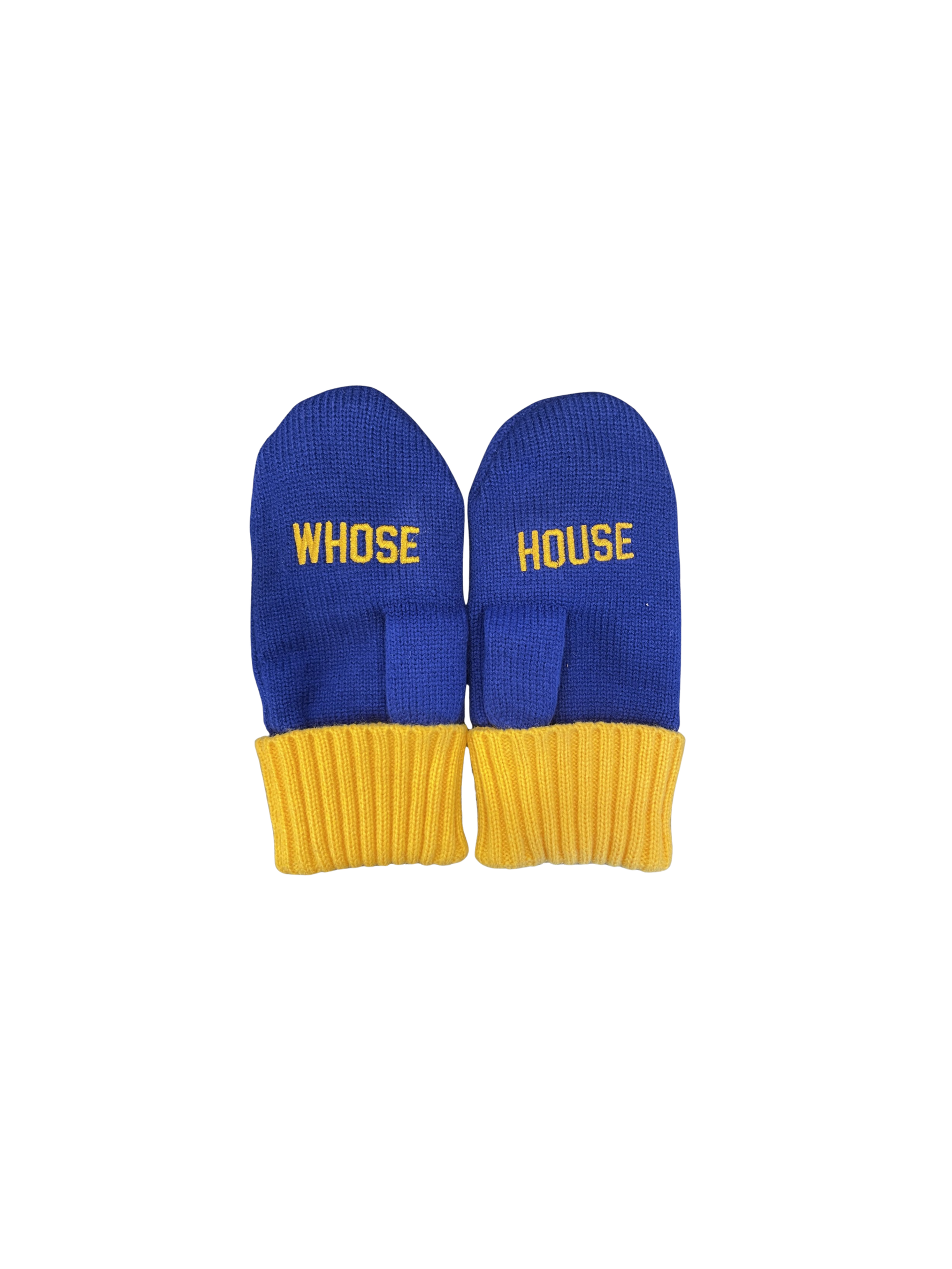 Blades Adult BD Whose House Mittens Palm 2