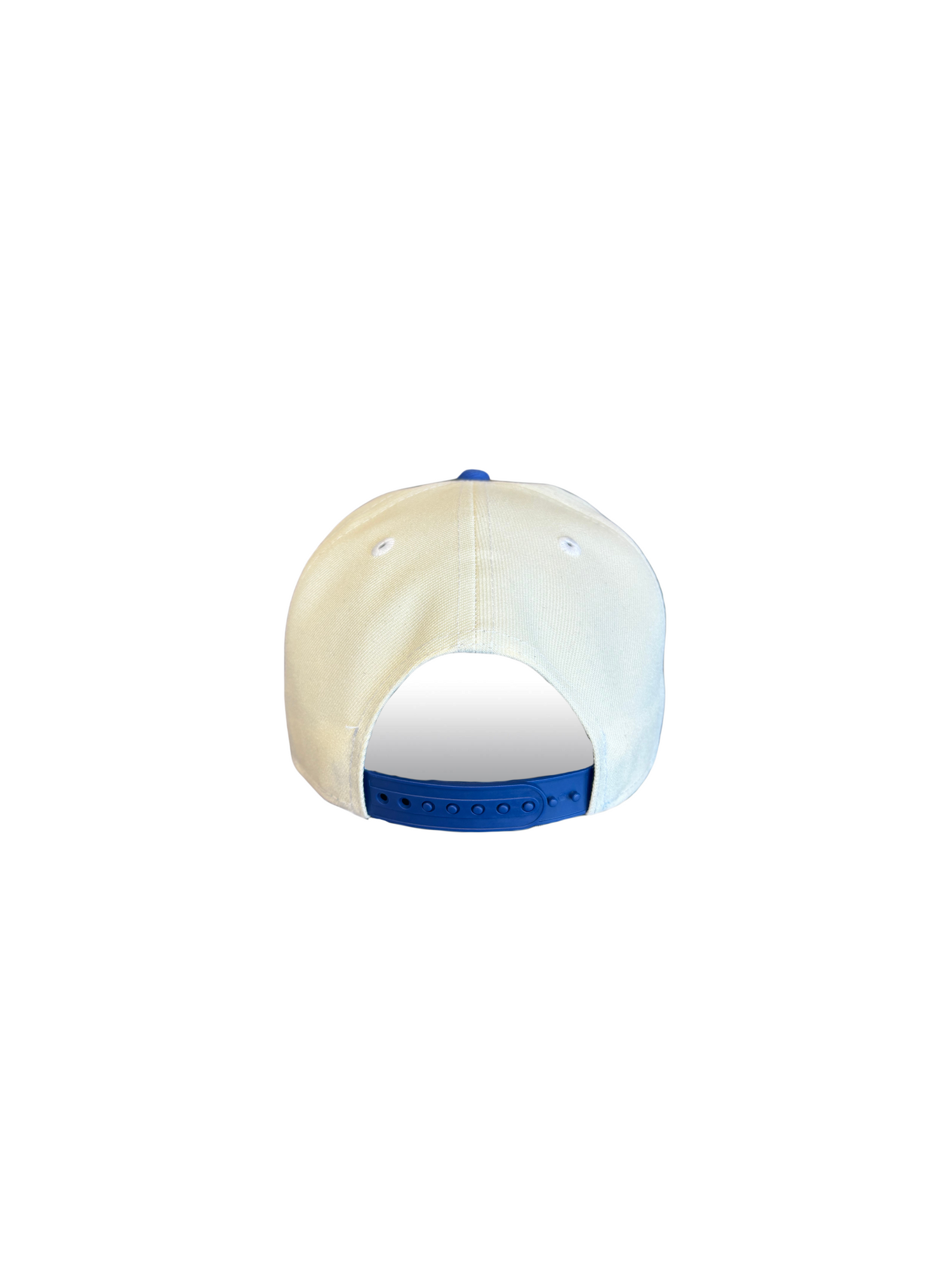 Blades Adult NE 940 Curved Brim Classic Two-Tone Hat Back