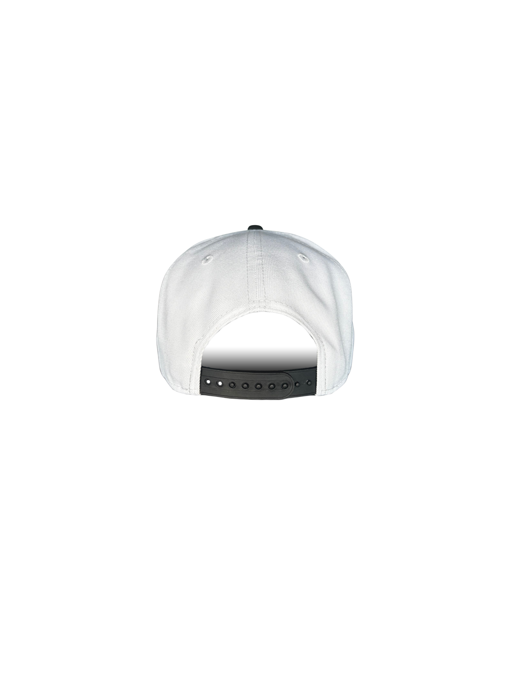 Blades Adult NE 950 Flat Brim Classic Monochrome Hat Back