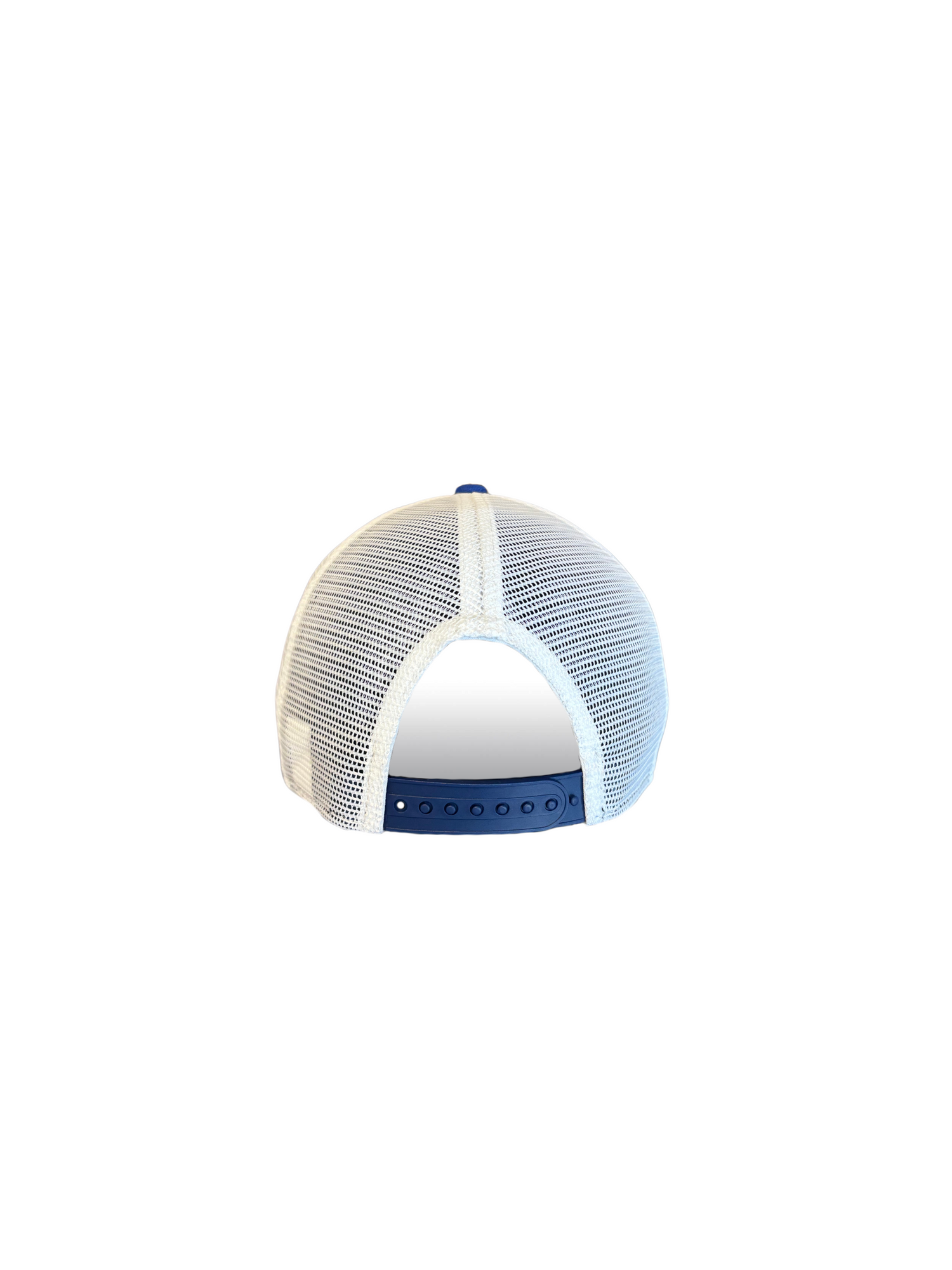 Blades Adult NE 970 Curved Brim Classic Mesh Hat Back
