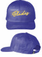 Blades Adult BD Curved Brim Retro Stripe Hat