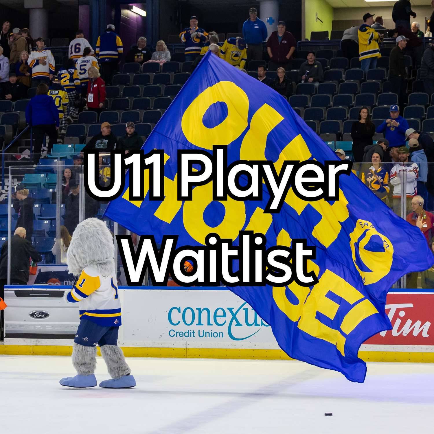 WAITLIST: Blades - Hockey School U11 Player