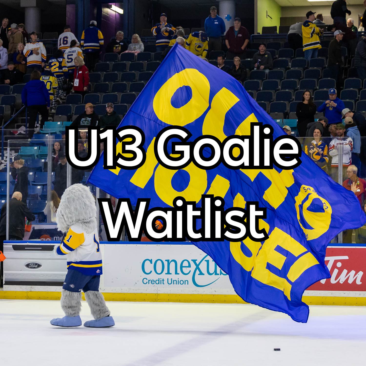 WAITLIST: Blades - Hockey School U13 Goalie