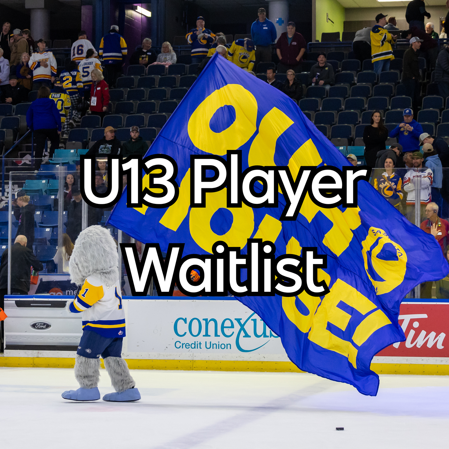 WAITLIST: Blades - Hockey School U13 Player