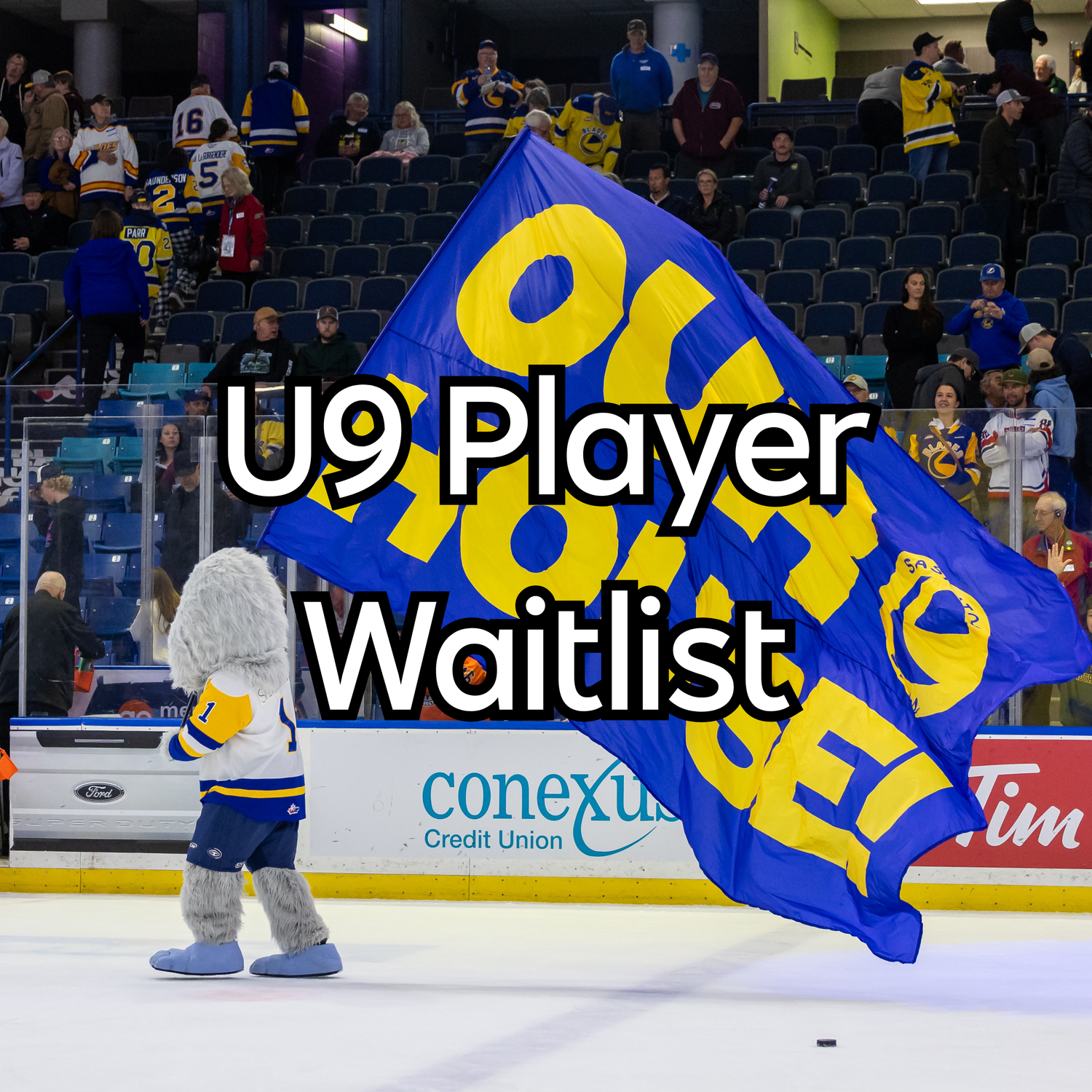 WAITLIST: Blades - Hockey School U9 Player